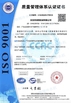 China Dongguan Ruixiang Machinery Co., Ltd certificaten